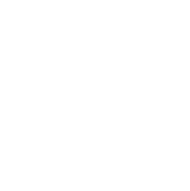RIWA LOGO